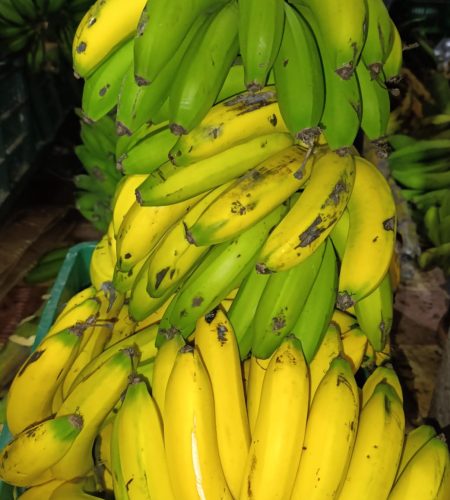 WhatsApp Image 2026-01-02 at 10.09.50 AM