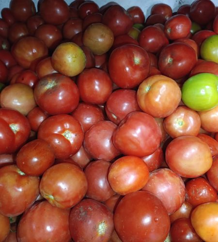 WhatsApp Image 2026-01-02 at 10.09.57 AM