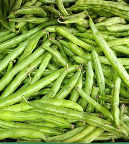 WhatsApp Image 2026-01-02 at 10.15.58 AM