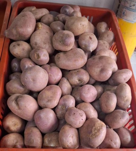 WhatsApp Image 2026-01-02 at 10.16.35 AM